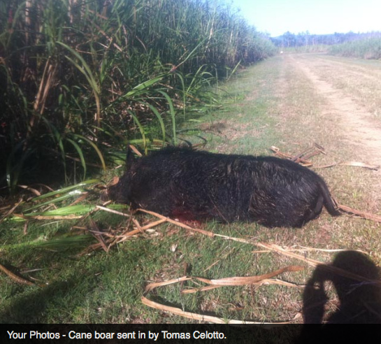 Screen Shot 2013-10-02 at 1.34.53 PM